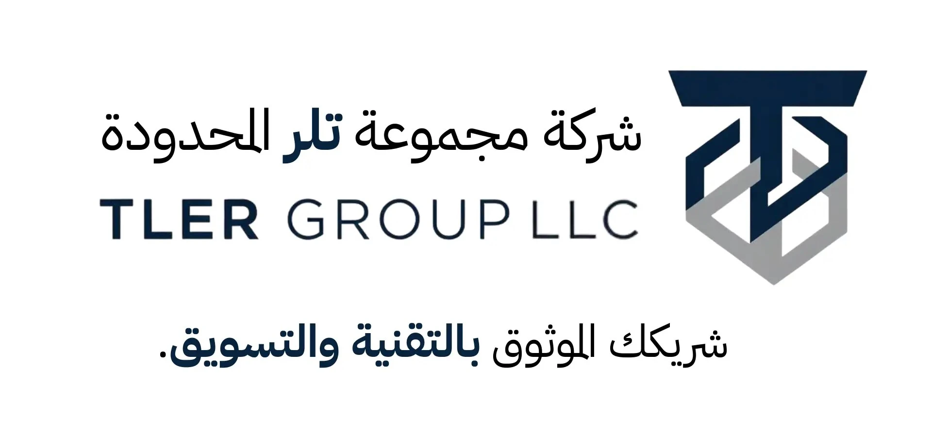 Previous Identity - Tler Group LLC Logo